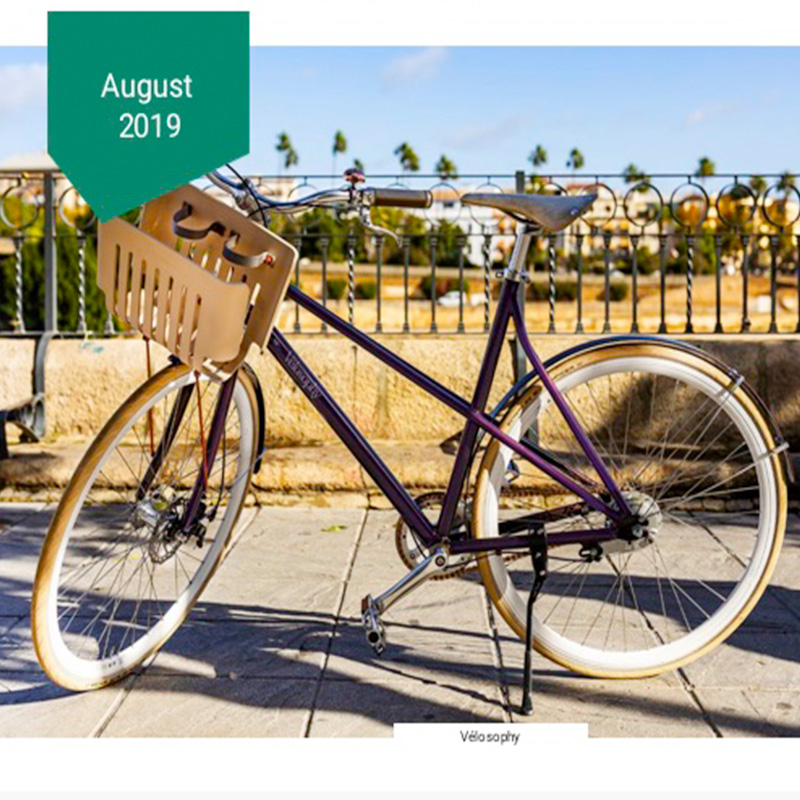 Sustainability Bulletin: August 2019